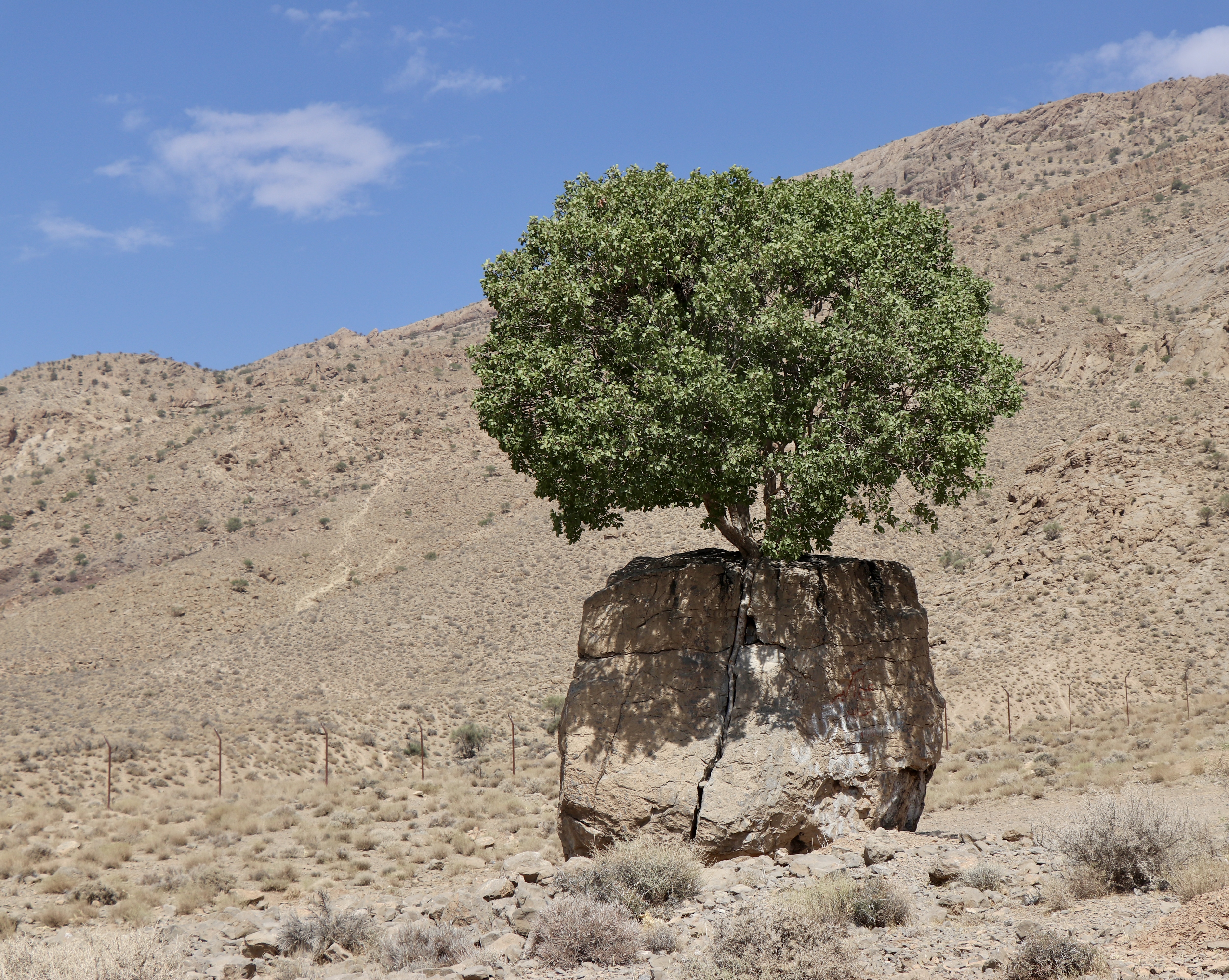 ویژگی های شخصیتی و خلق و خوی مردم ارسنجان 