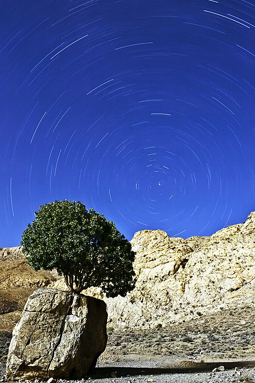 آداب معاشرت